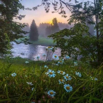 皇冠体育HG2022App